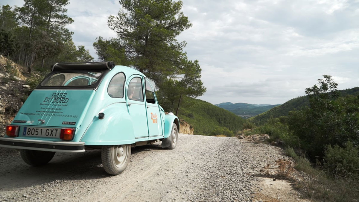 Ducks United Vintage Cars Ibiza